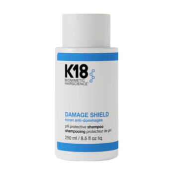 DAMAGE SHIELD