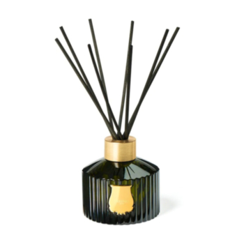 LE DIFFUSUEUR ERNESTO