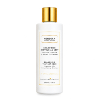 SHAMPOING CHEVEUX AU VENT SHAMPOING TRAITANT DOUX À LA KÉRATINE VÉGÉTALE & HUILES PRÉCIEUSES