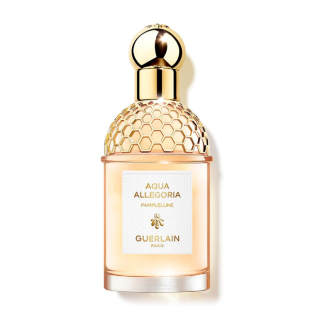 AQUA ALLEGORIA PAMPLELUNE
