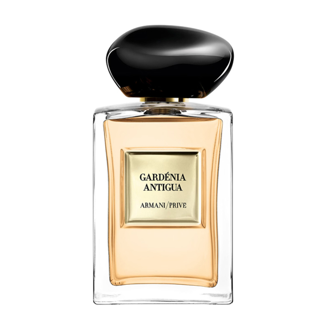 GARDENIA ANTIGUA