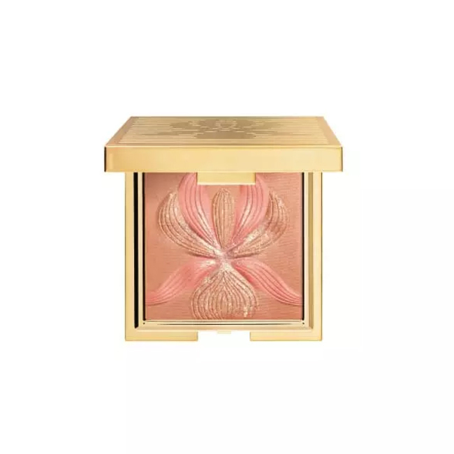 PALETTE ORCHIDÉE