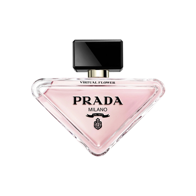 PARADOXE VIRTUAL FLOWER