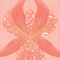 blushenlumineurcorail