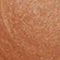 n4sunny-flash